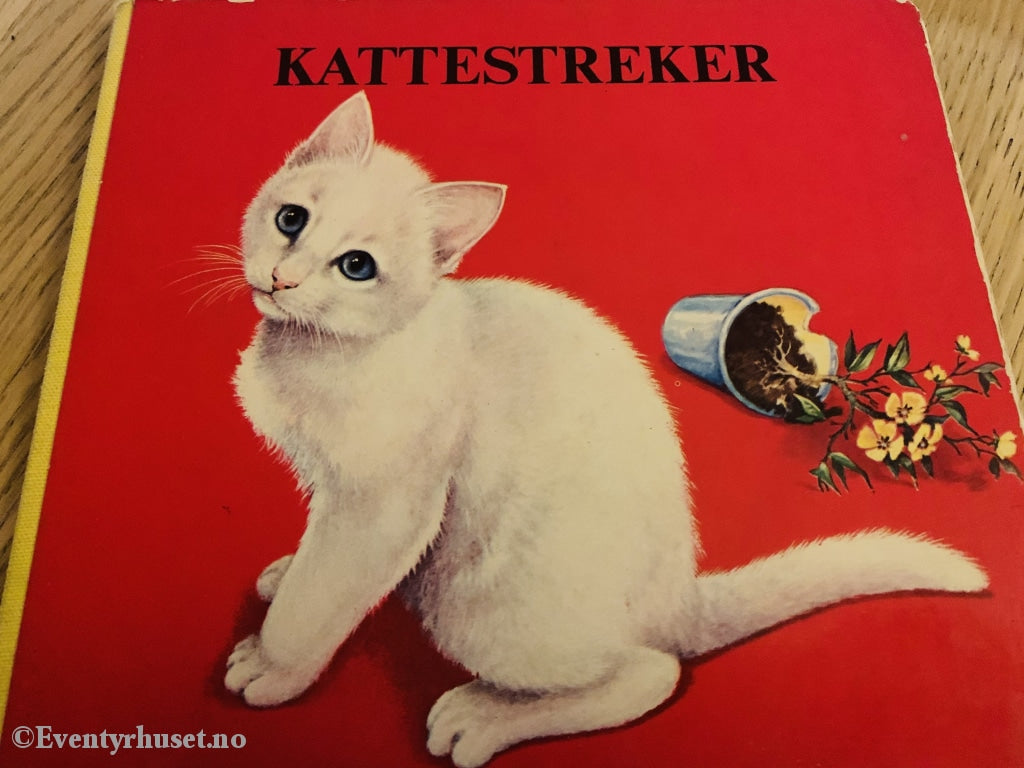 Kattestreker. Fortelling