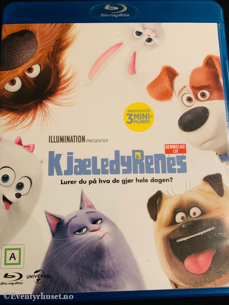 Kjæledyrenes Hemmelige Liv. 2015. Blu-Ray. Blu-Ray Disc