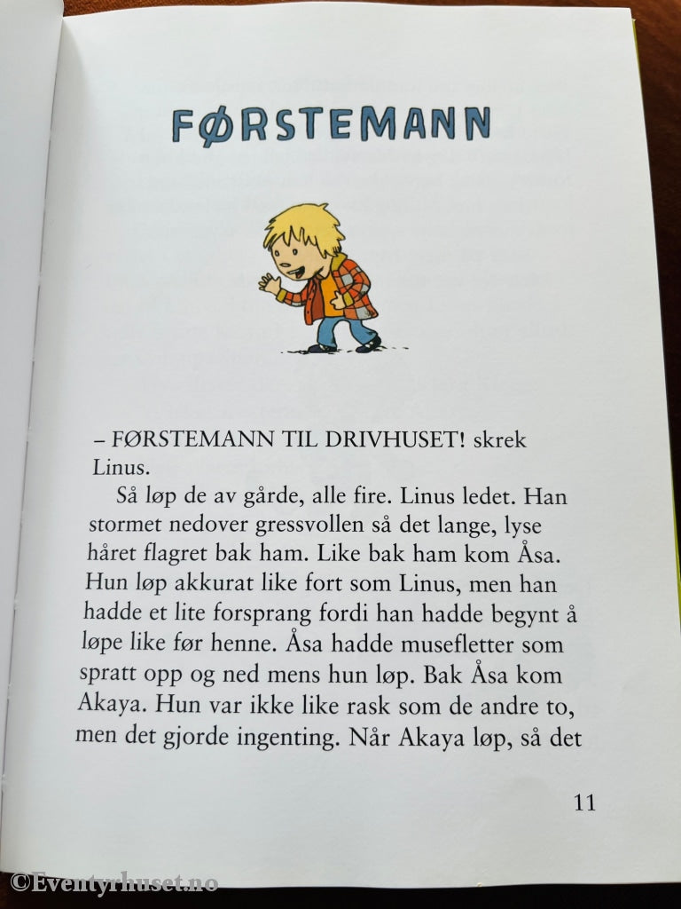 Kjetil Indregard. 2006. Linus I Svingen - Førstemann. Fortelling