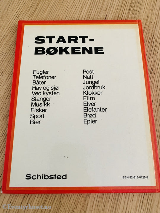 Klokker (Start-Bøkene). 1976. Fortelling