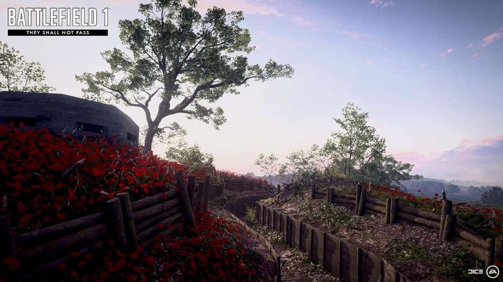 Battlefield 1 - They Shall Not Pass DLC EA App CD Key