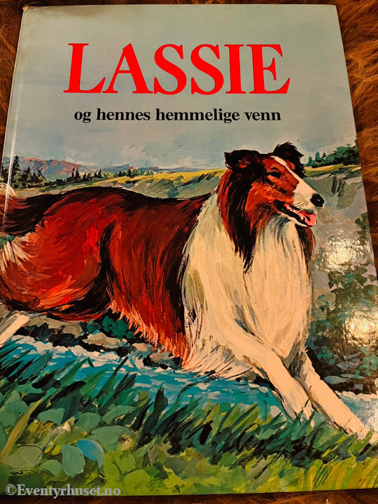 Lassie Og Hennes Hemmelige Venn. 1972/74. Fortelling