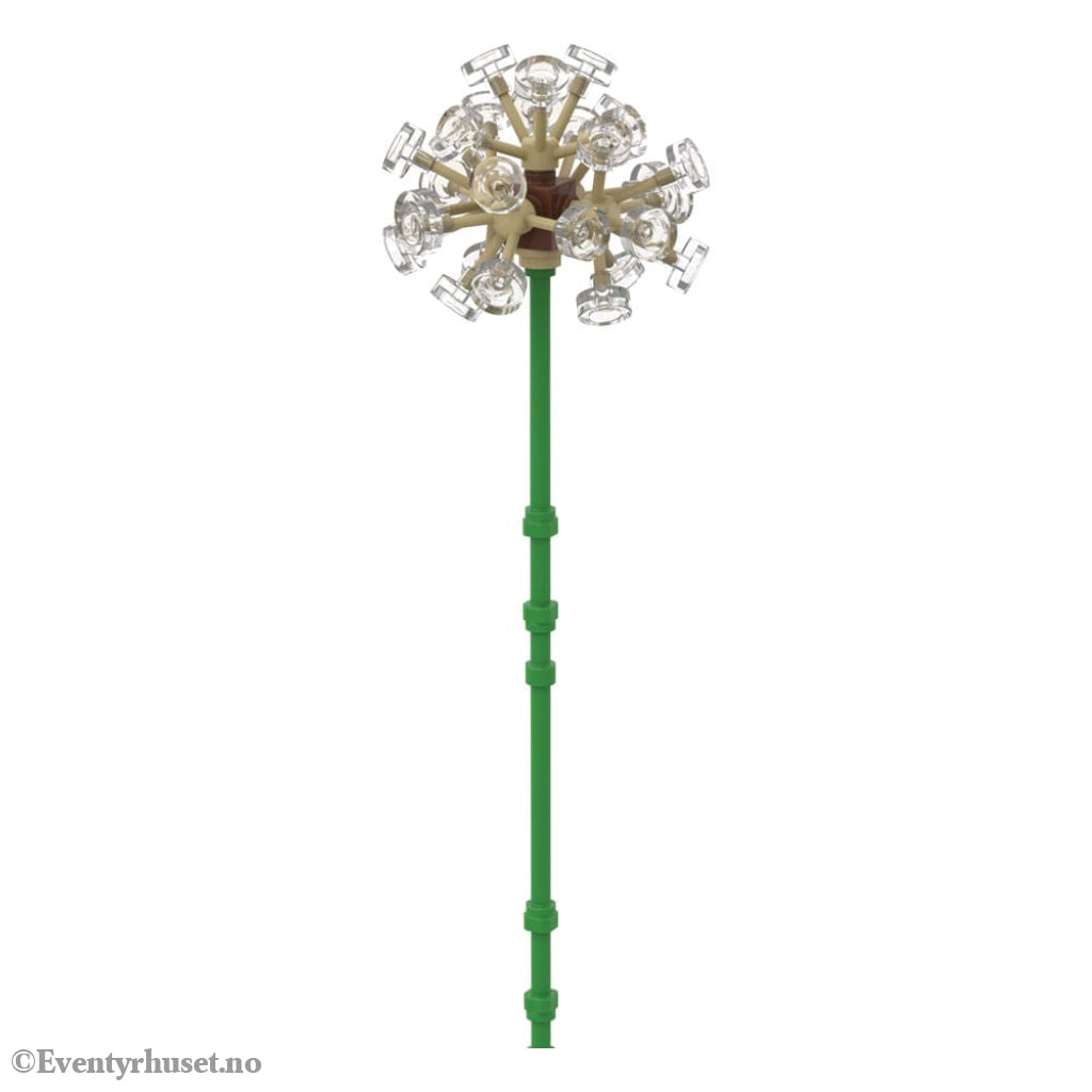 LEGO Creativity Set Plants Home & Gifts