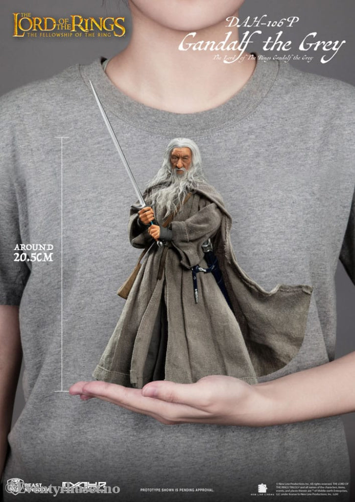 Lord of the Rings Dynamic 8ction Heroes Action Figure 1/9 Gandalf the Grey 21 cm Toys