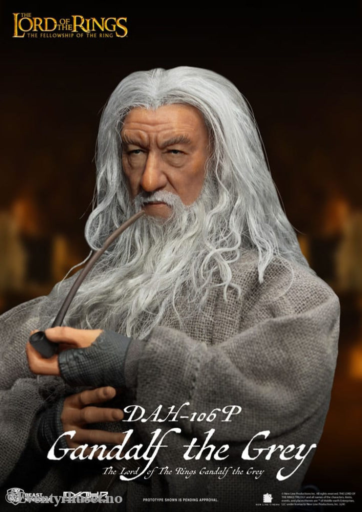 Lord of the Rings Dynamic 8ction Heroes Action Figure 1/9 Gandalf the Grey 21 cm Toys