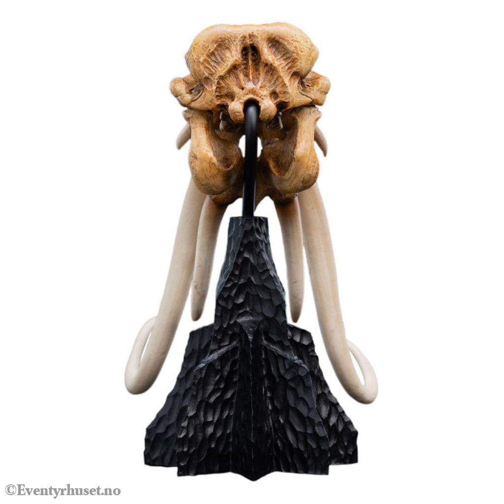 Lord of the Rings Mini Statue Skull of a Mumak 15 cm Collectibles