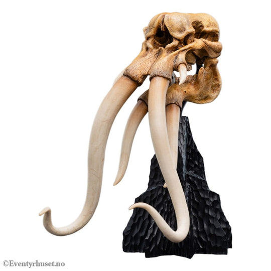 Lord of the Rings Mini Statue Skull of a Mumak 15 cm Collectibles