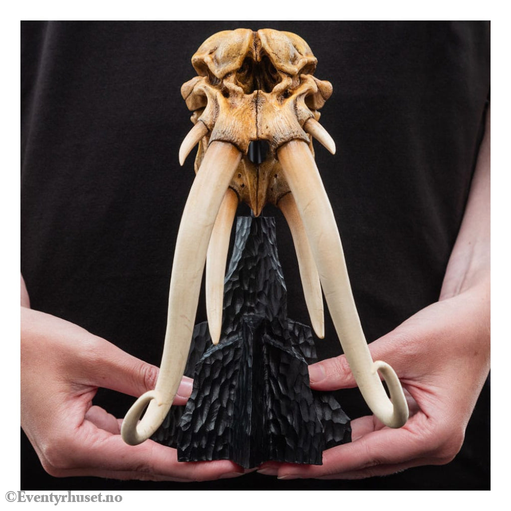 Lord of the Rings Mini Statue Skull of a Mumak 15 cm Collectibles