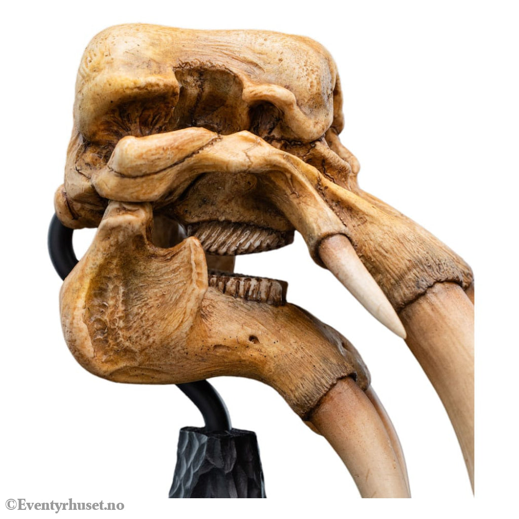 Lord of the Rings Mini Statue Skull of a Mumak 15 cm Collectibles