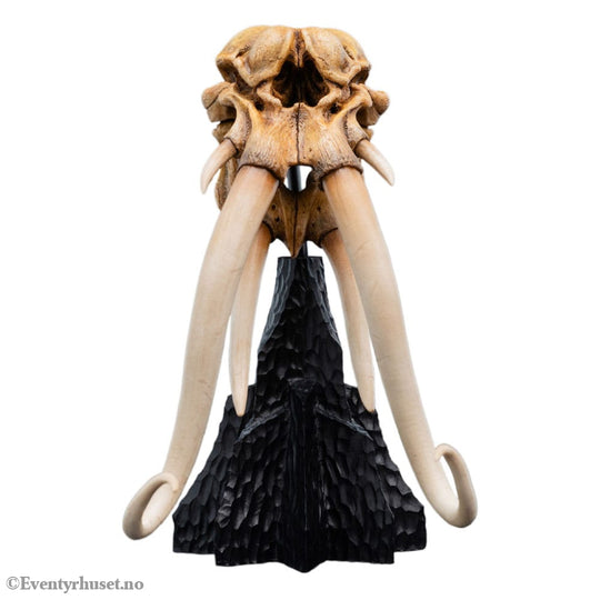 Lord of the Rings Mini Statue Skull of a Mumak 15 cm Collectibles