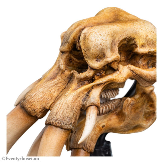 Lord of the Rings Mini Statue Skull of a Mumak 15 cm Collectibles