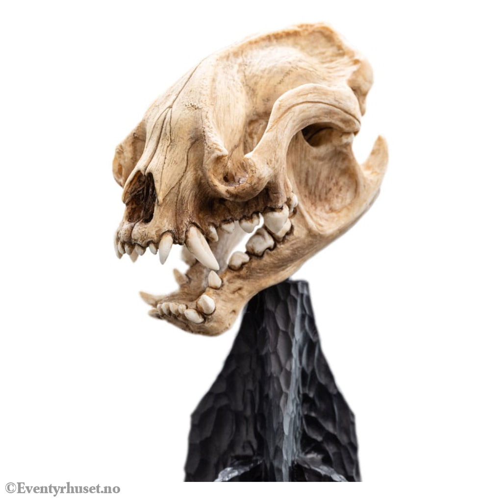 Lord of the Rings Mini Statue Skull of a Warg 20 cm Collectibles