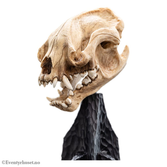 Lord of the Rings Mini Statue Skull of a Warg 20 cm Collectibles