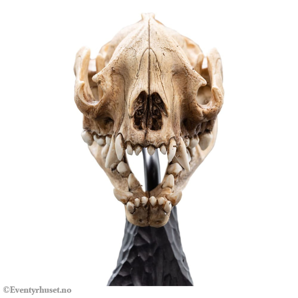 Lord of the Rings Mini Statue Skull of a Warg 20 cm Collectibles