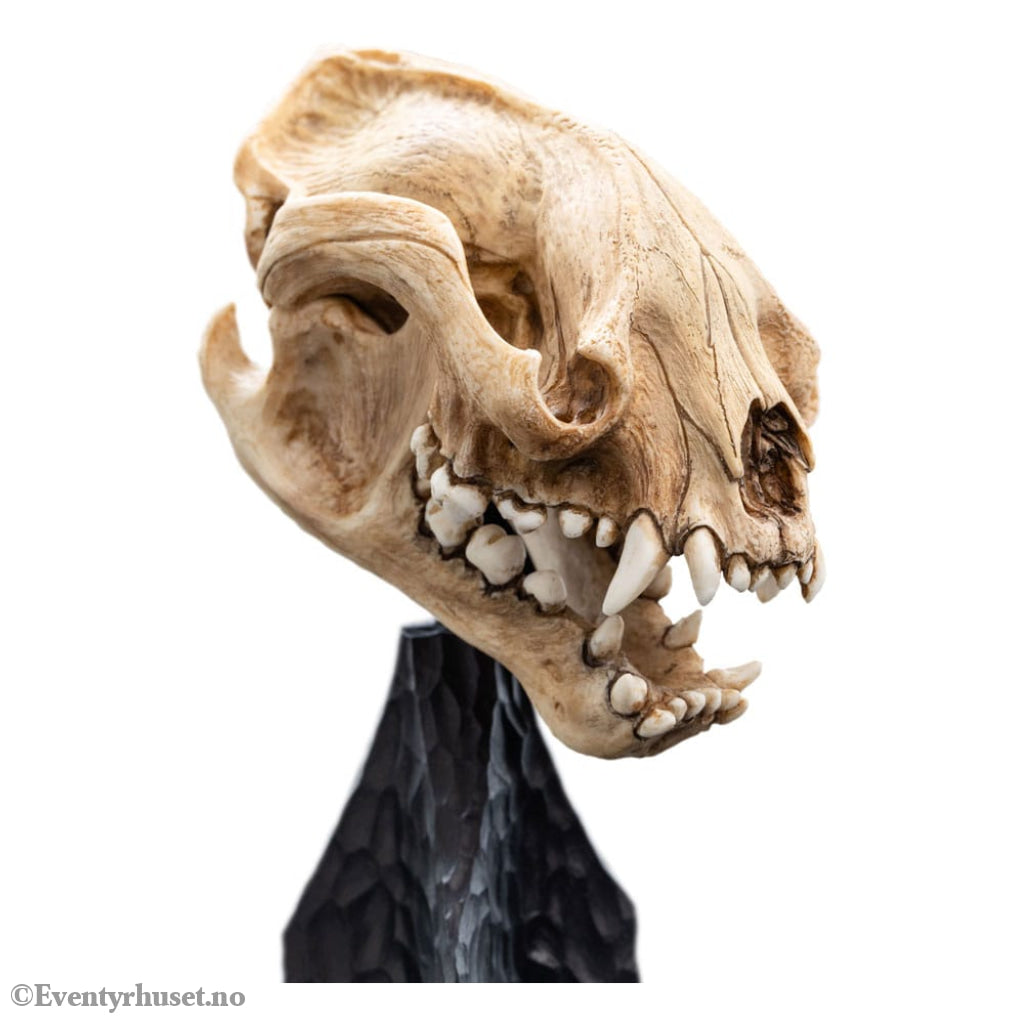 Lord of the Rings Mini Statue Skull of a Warg 20 cm Collectibles