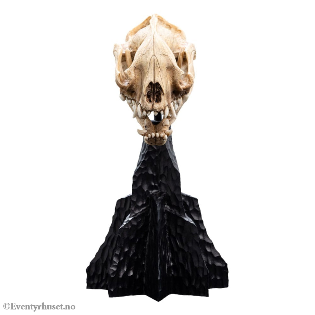 Lord of the Rings Mini Statue Skull of a Warg 20 cm Collectibles