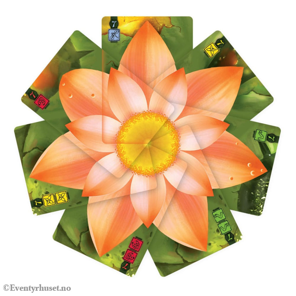 Lotus card game *Englische Version* Games