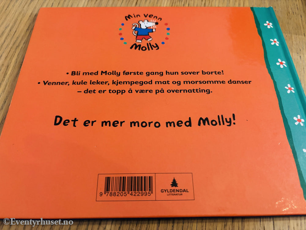 Lucy Cousins. Molly på overnatting. Bok.