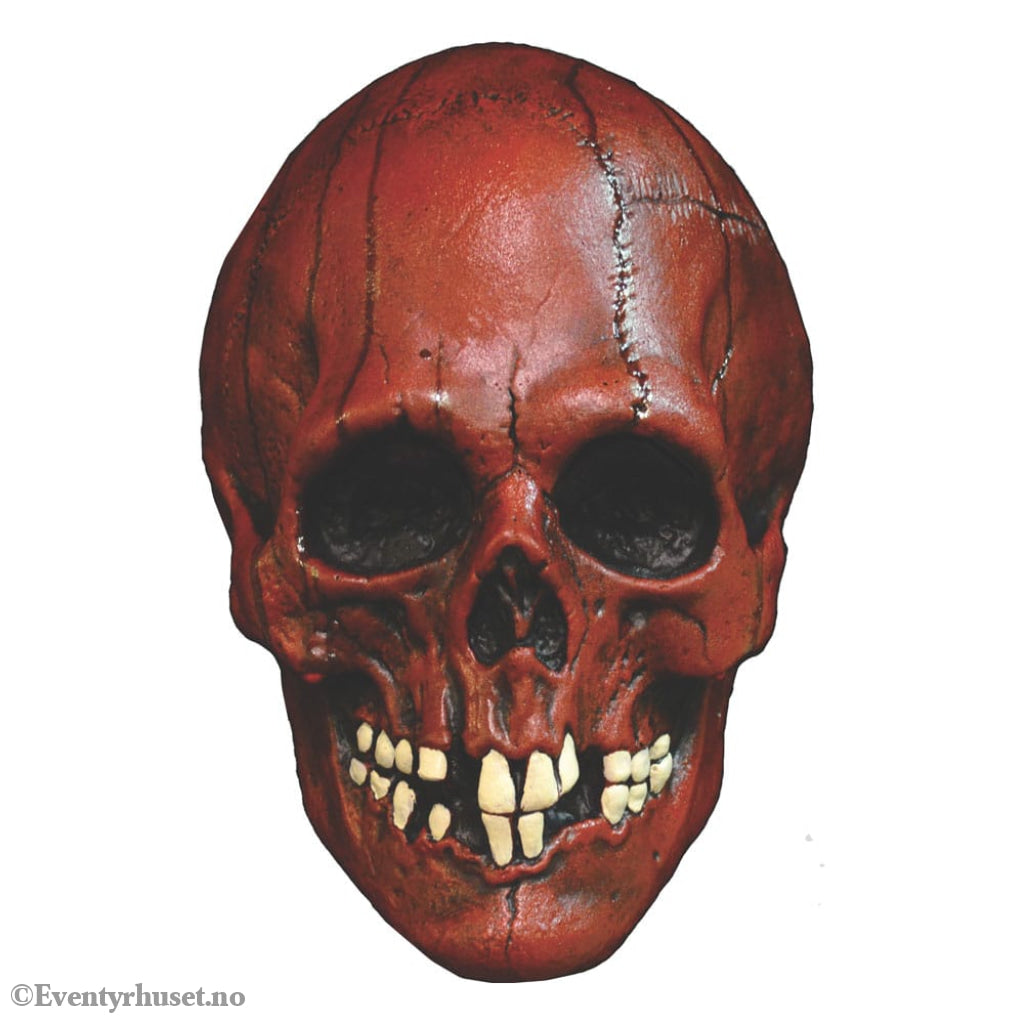 Mabry Monsters Mask Night Owl Skull Blood Fashion & Accessories
