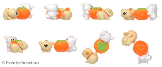 Maltese Blind Box Mini Figures Lucky Paws Series Display (8) Collectibles