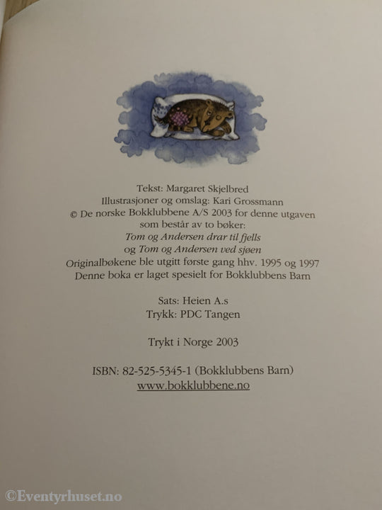 Margaret Skjelbred & Kari Grossmann. 1995/03. Tom Og Andersen På Ferie. Fortelling