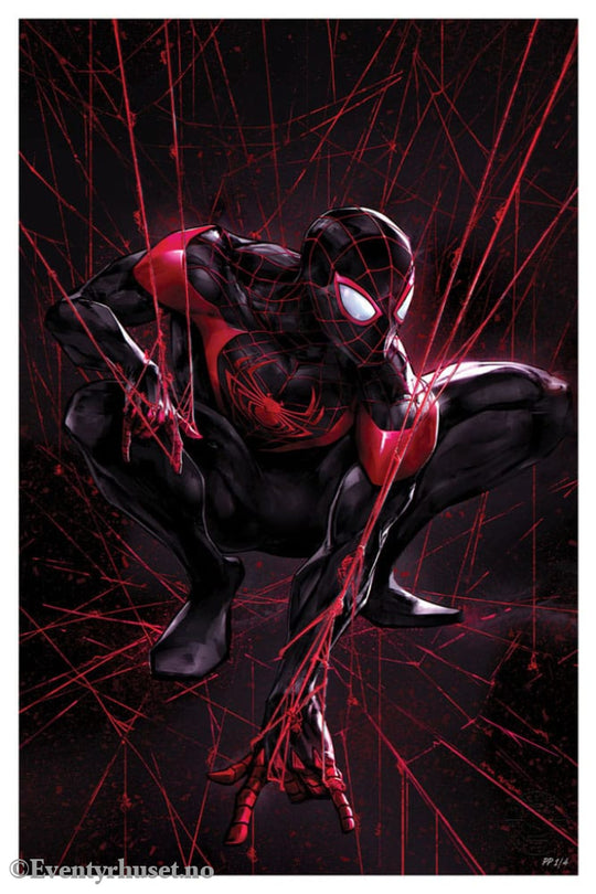 Marvel Art Print Spider-Man Miles Morales 61 x 41 cm - unframed Home & Gifts