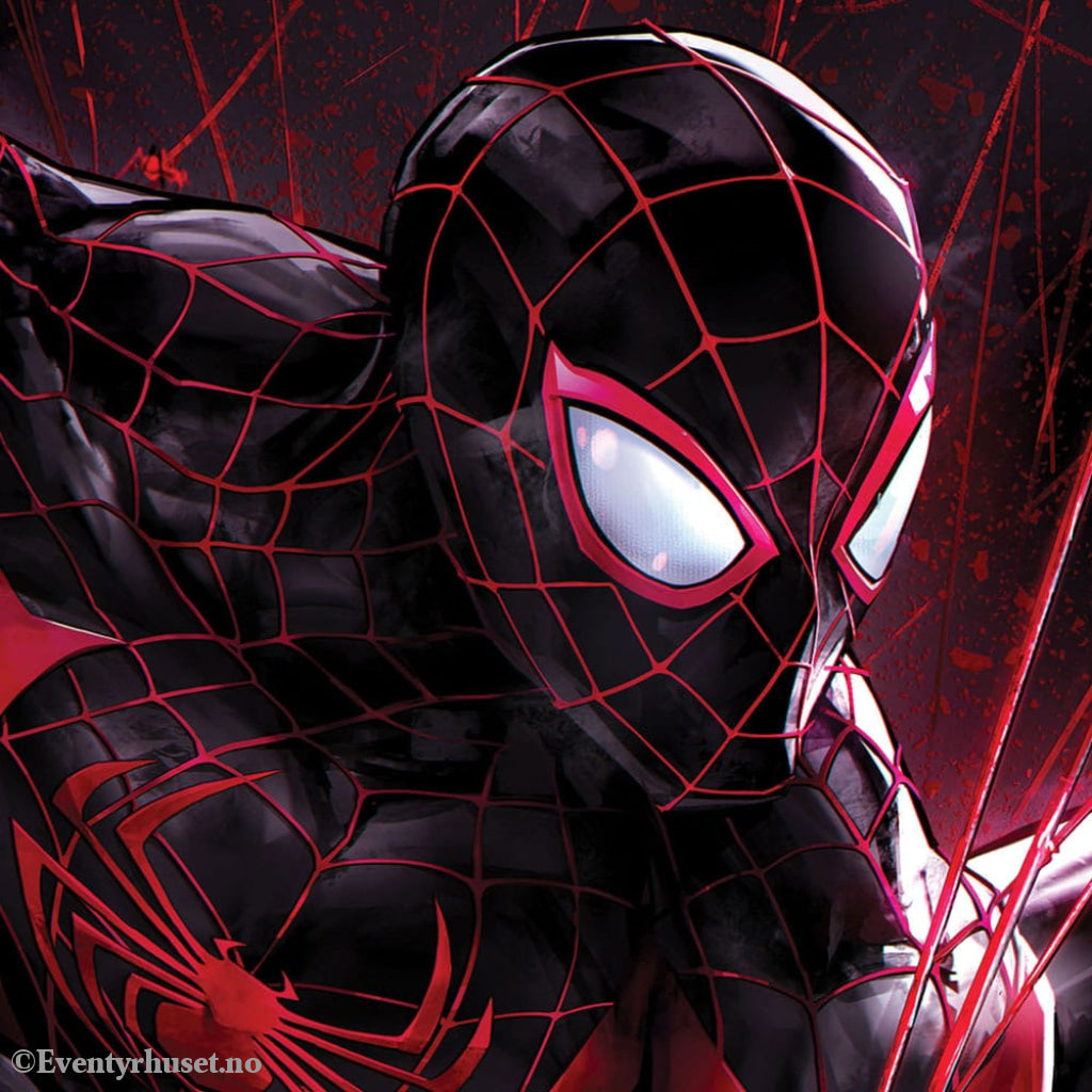 Marvel Art Print Spider-Man Miles Morales 61 x 41 cm - unframed Home & Gifts
