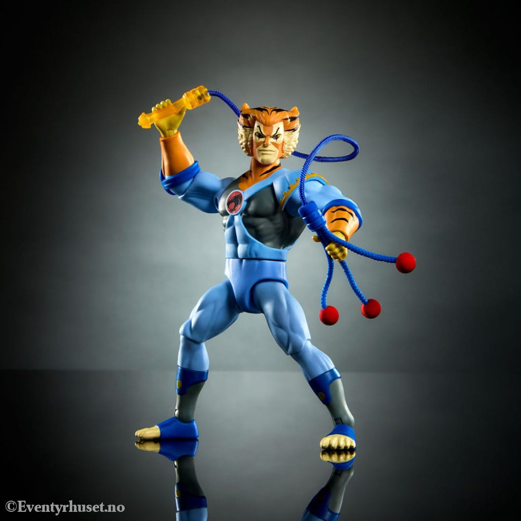 Masters of the Universe x ThunderCats Action Figure Tygra 14 cm. New in box! Actionfigur