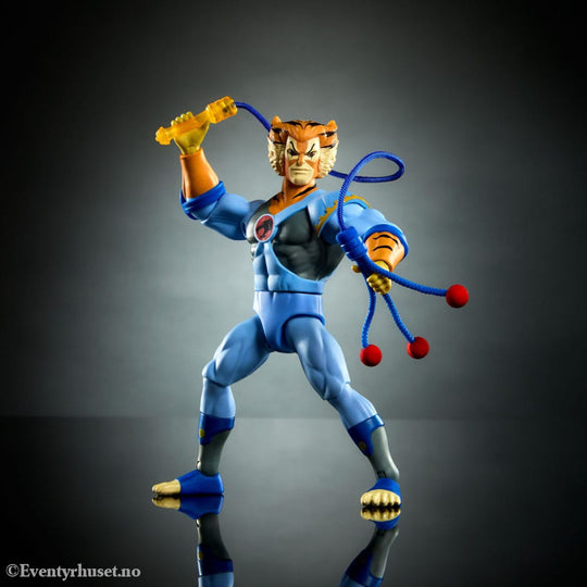 Masters of the Universe x ThunderCats Action Figure Tygra 14 cm. New in box! Actionfigur