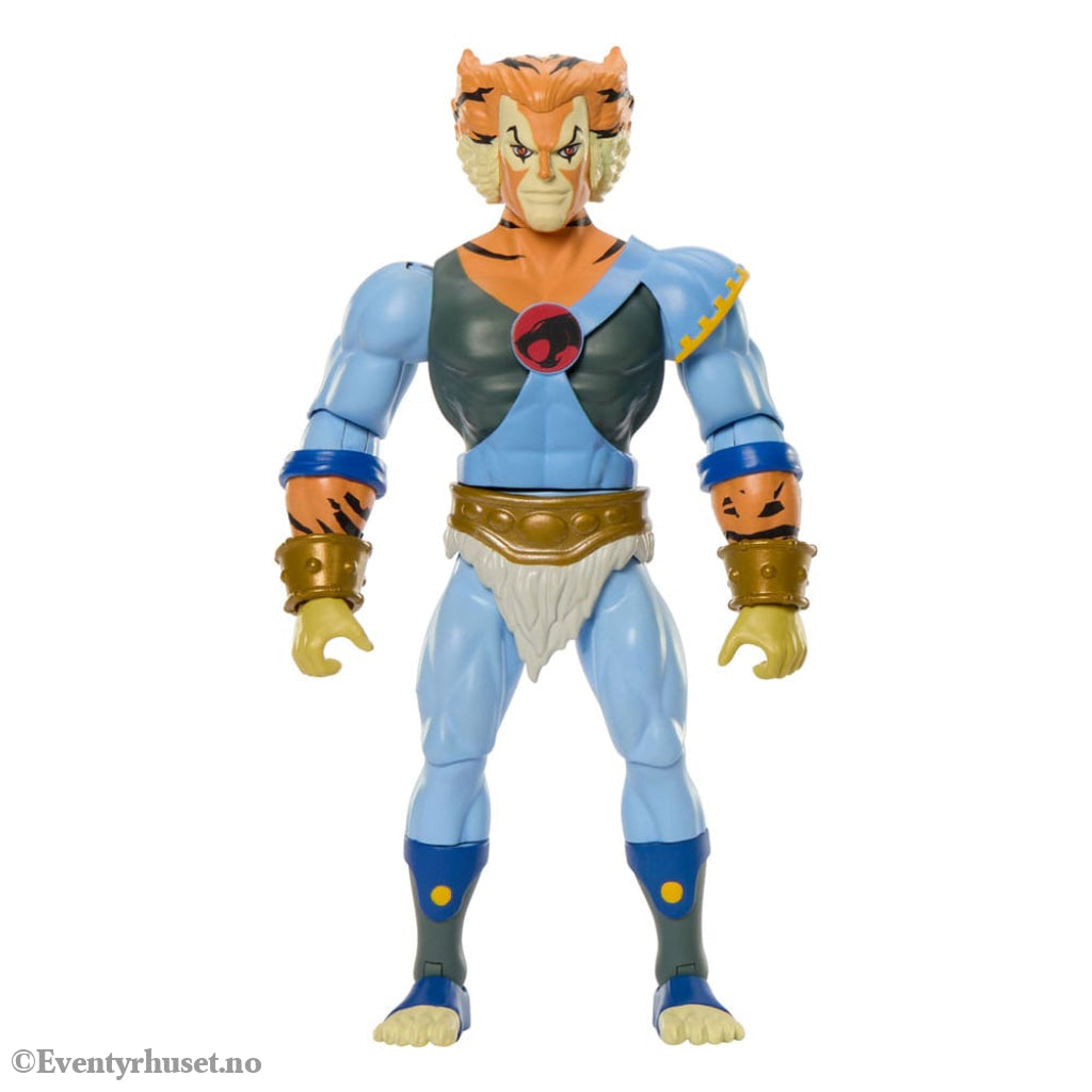 Masters of the Universe x ThunderCats Action Figure Tygra 14 cm. New in box! Actionfigur