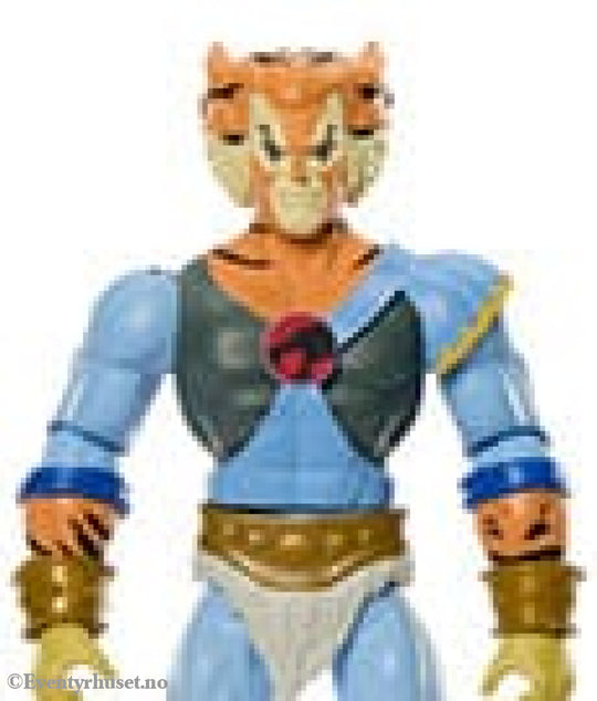 Masters of the Universe x ThunderCats Action Figure Tygra 14 cm. New in box! Actionfigur