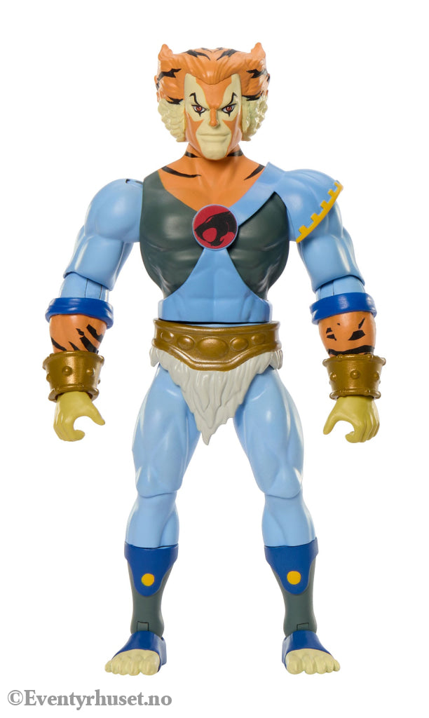 Masters of the Universe x ThunderCats Action Figure Tygra 14 cm. New in box! Actionfigur