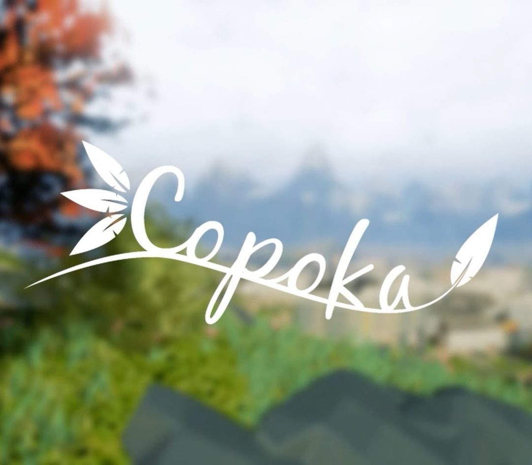 Copoka PC Steam CD Key