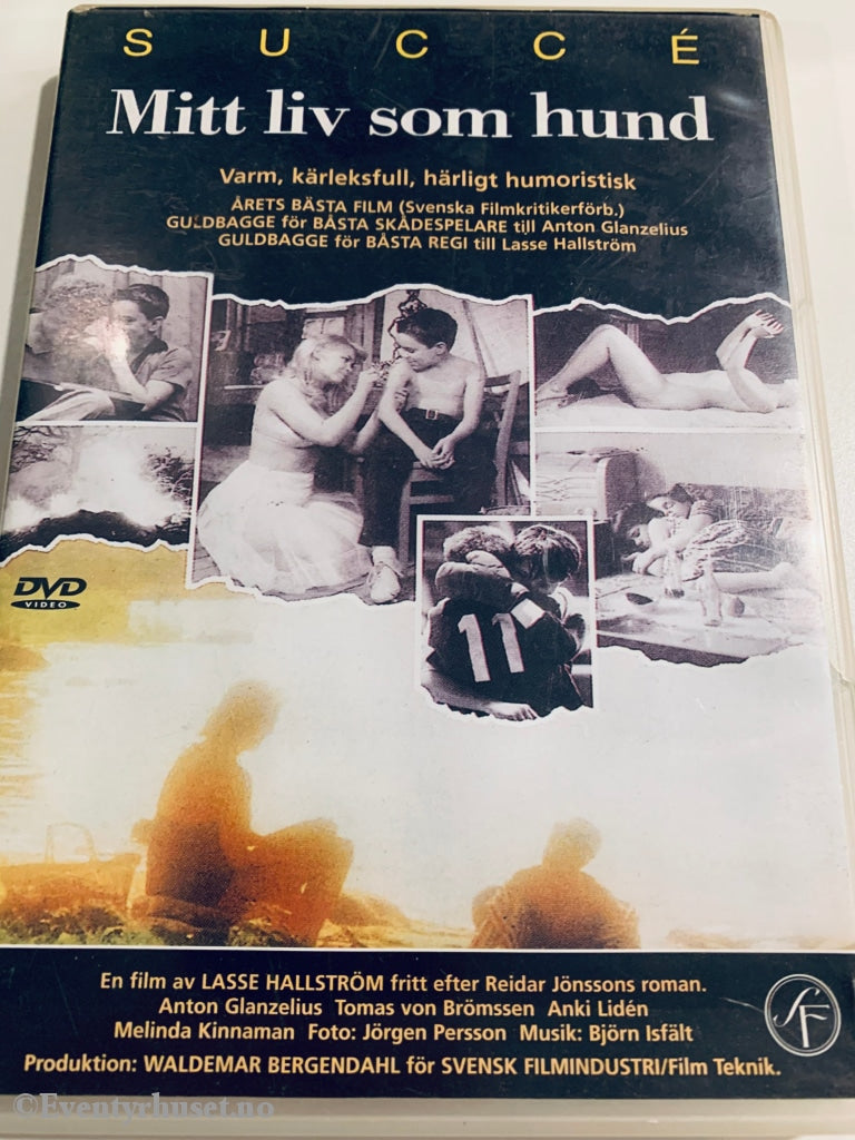 Mitt Liv Som Hund. 1985. Dvd. Dvd