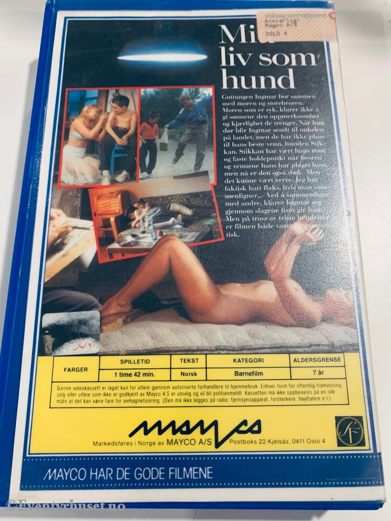 Mitt Liv Som Hund. 1985. Vhs Big Box. Box
