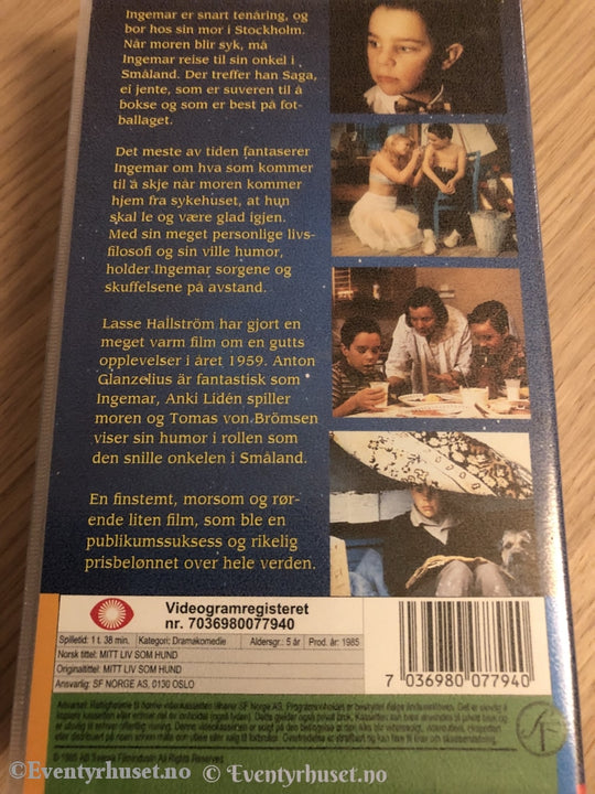 Mitt Liv Som Hund. 1995. Vhs. Vhs