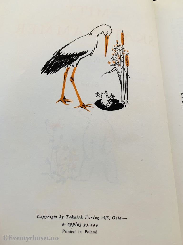 Mitt Skattekammer. Bind 5. Noas Ark (6. Opplag). Fortelling