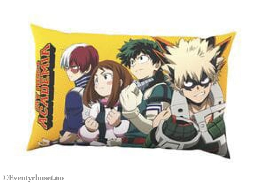 My Hero Academia Pillow Group 40 x 25 cm Manga & Anime