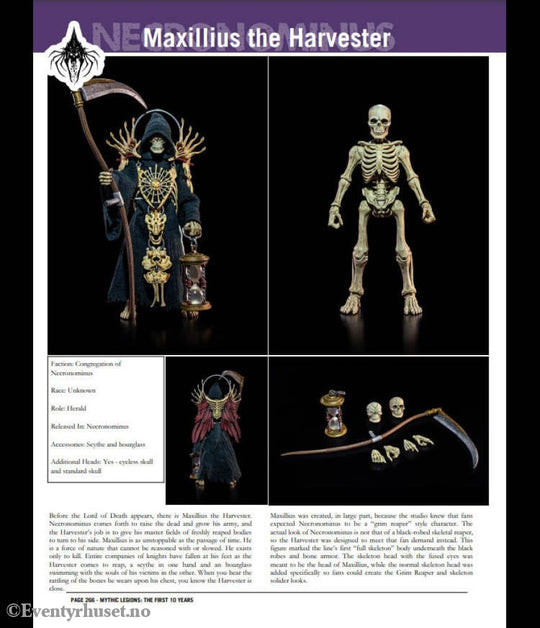 Mythic Legions: The First 10 Year Book Hardcover Home & Gifts