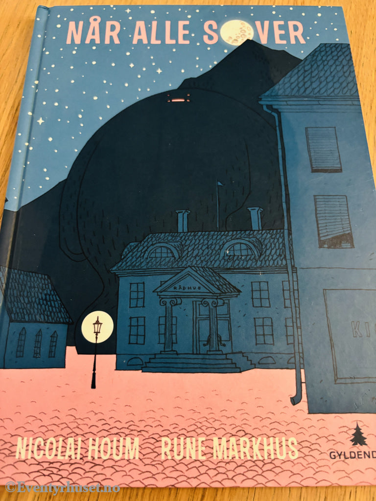 Nicolai Houm & Rune Markhus. Når alle sover. Bok.