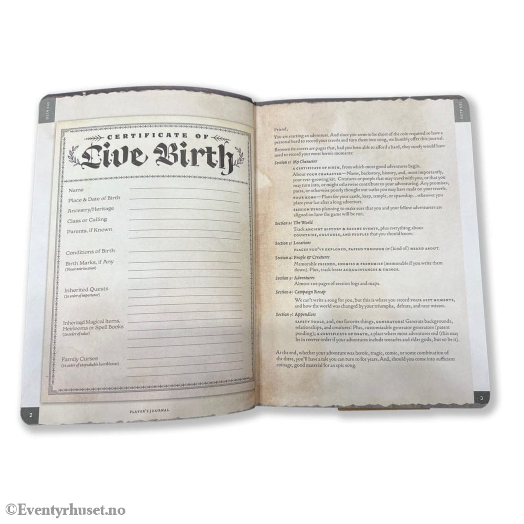 Notebook A5 Player’s Journal Sage Green Shield Games