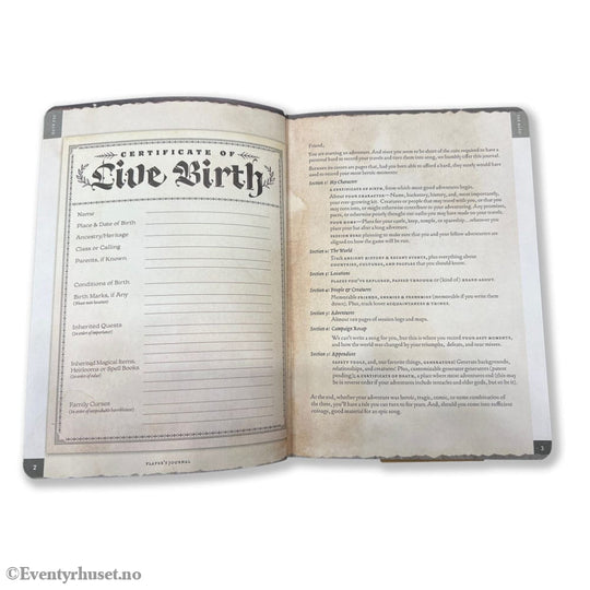 Notebook A5 Player’s Journal Sage Green Shield Games