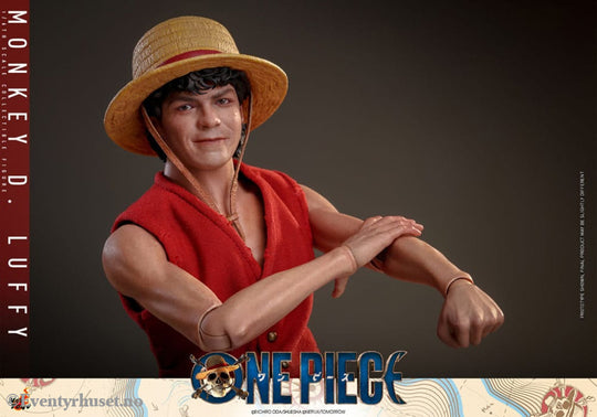 One Piece (Netflix) Action Figure 1/6 Monkey D. Luffy 31 cm Toys