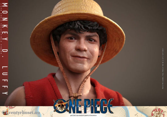One Piece (Netflix) Action Figure 1/6 Monkey D. Luffy 31 cm Toys