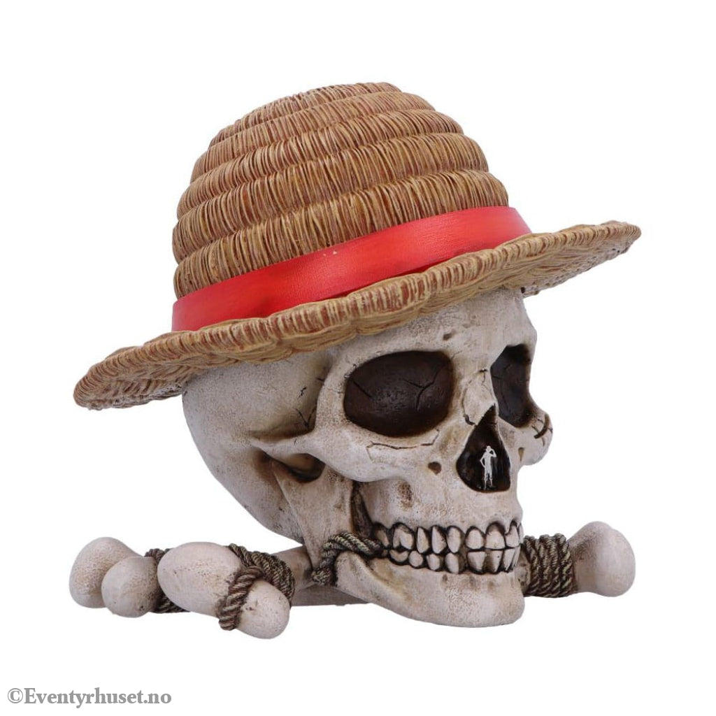 One Piece Storage Box Luffy Jolly Roger Home & Gifts