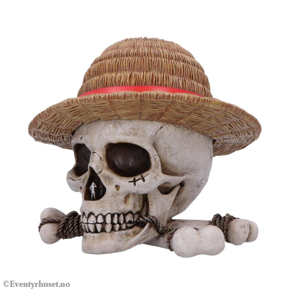 One Piece Storage Box Luffy Jolly Roger Home & Gifts