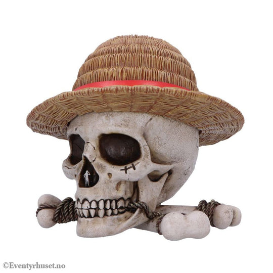 One Piece Storage Box Luffy Jolly Roger Home & Gifts