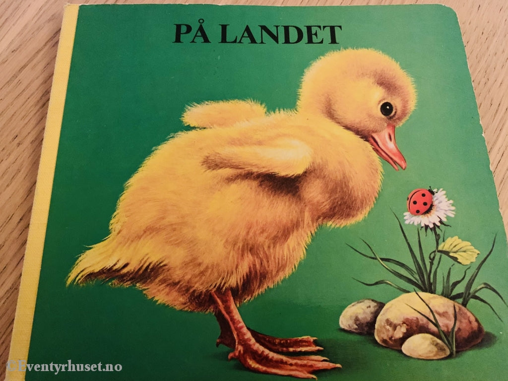 På Landet. Fortelling