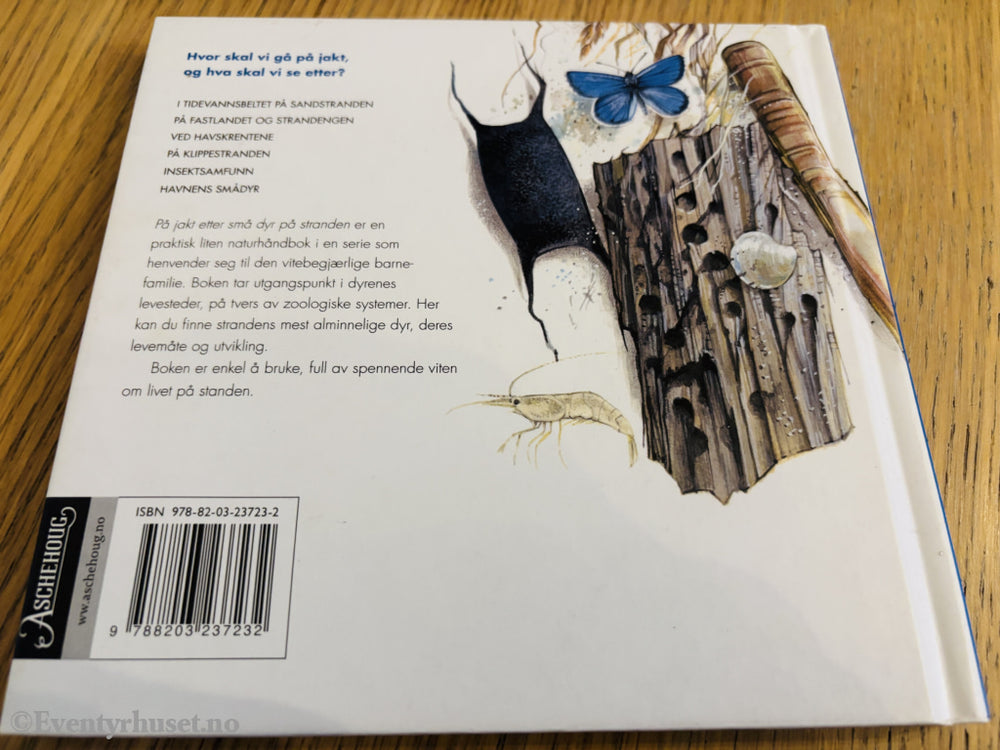 Peter Nielsen. På jakt etter små dyr på stranden. Bok.