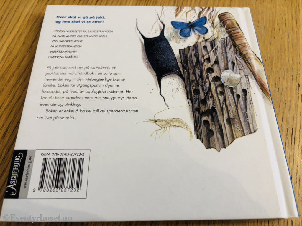 Peter Nielsen. På jakt etter små dyr på stranden. Bok.